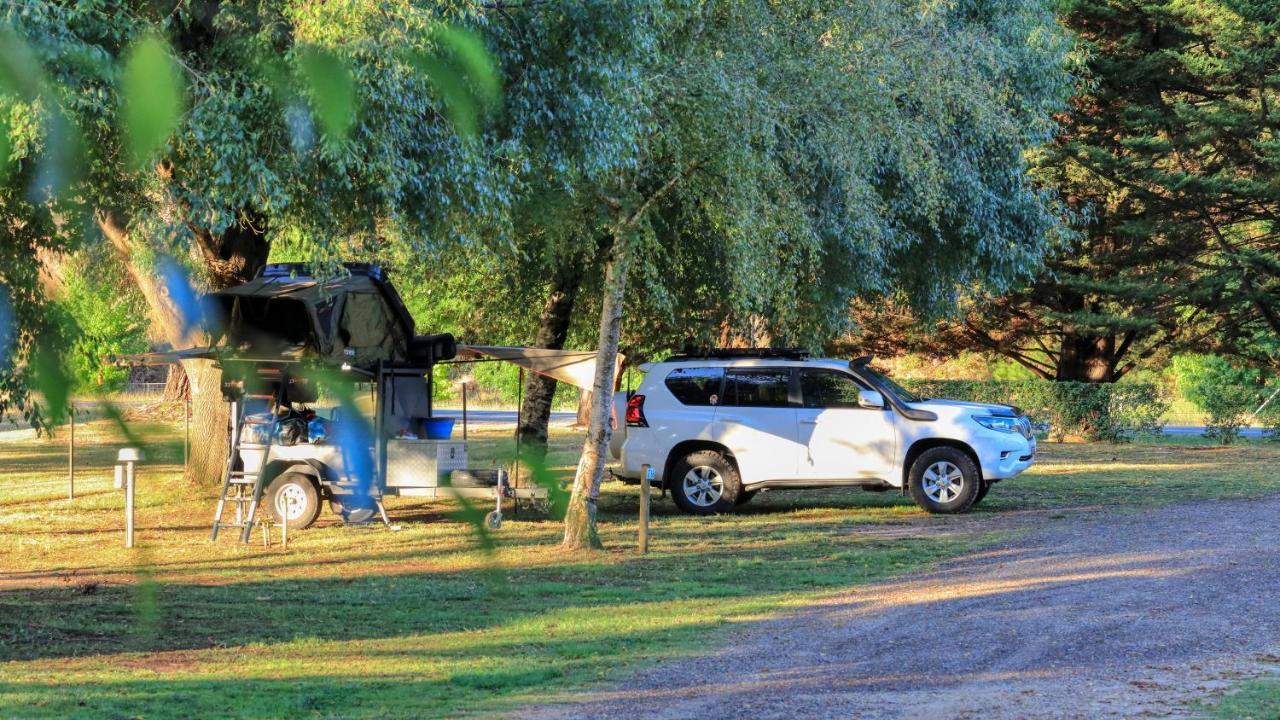 Big4 Porepunkah Holiday Park Bright Exterior foto
