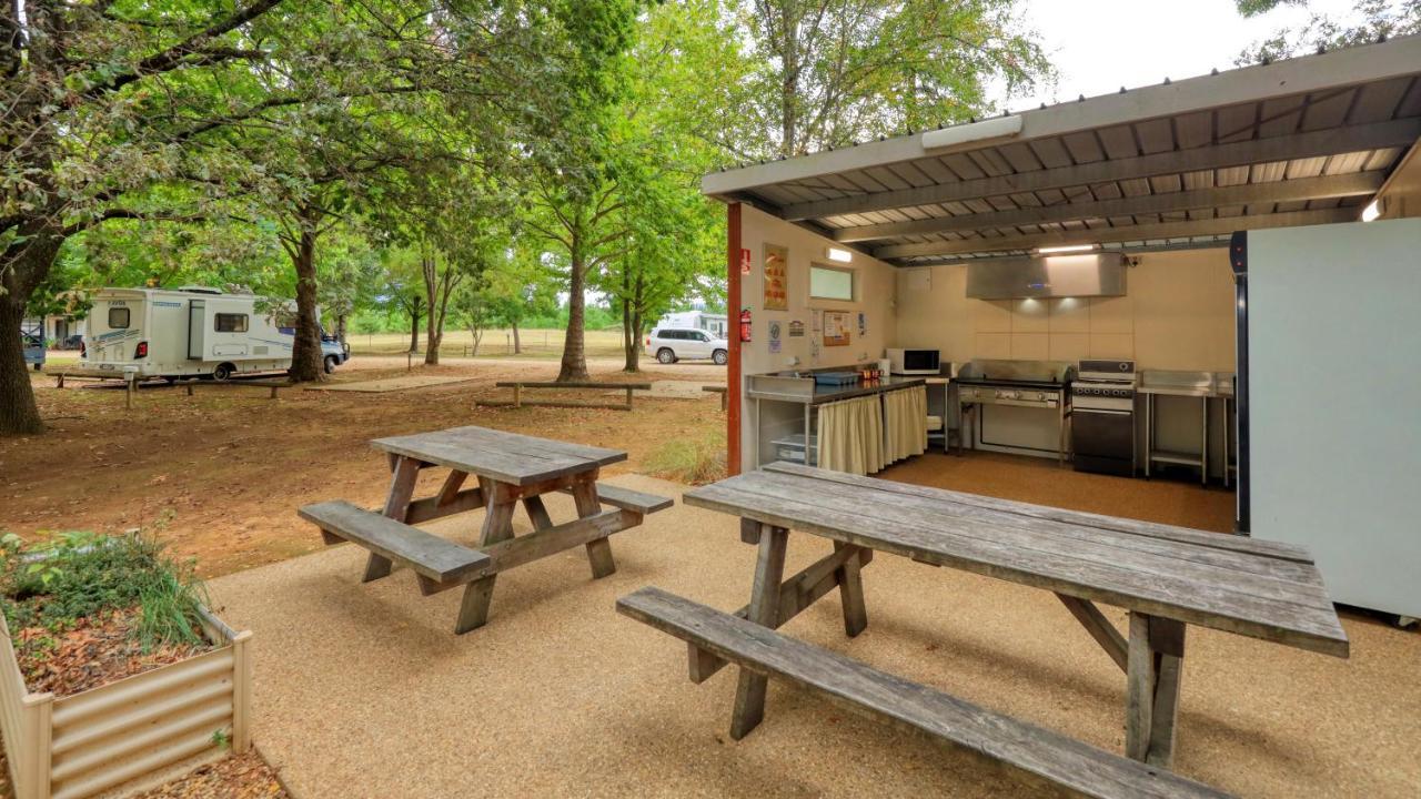 Big4 Porepunkah Holiday Park Bright Exterior foto